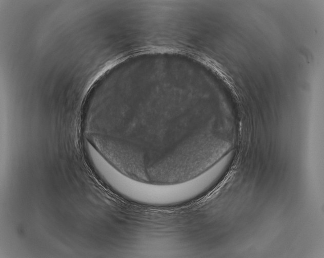 X0000112421165200909111004