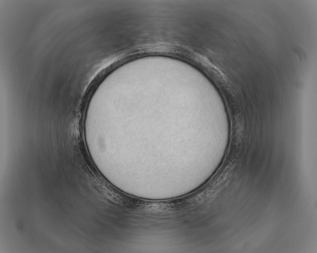 X0000112421166200909111004