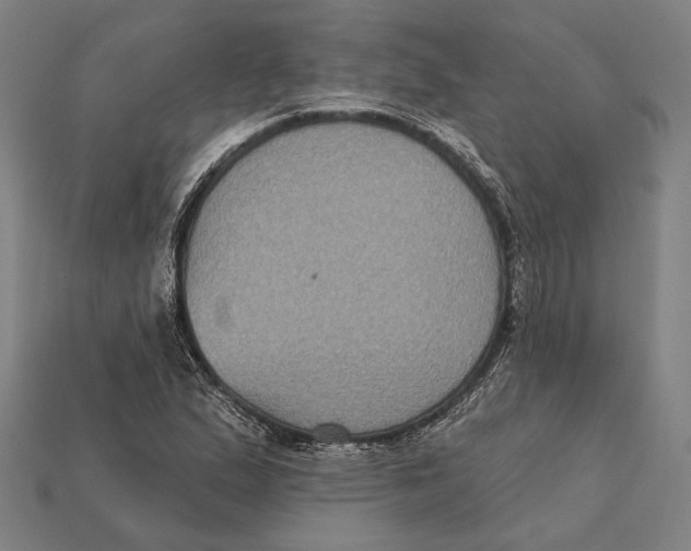 X0000112421167200909111004