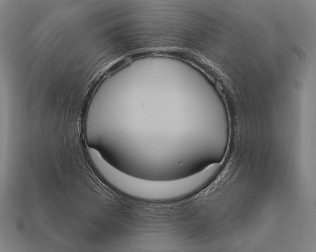 X0000112421169200909111004