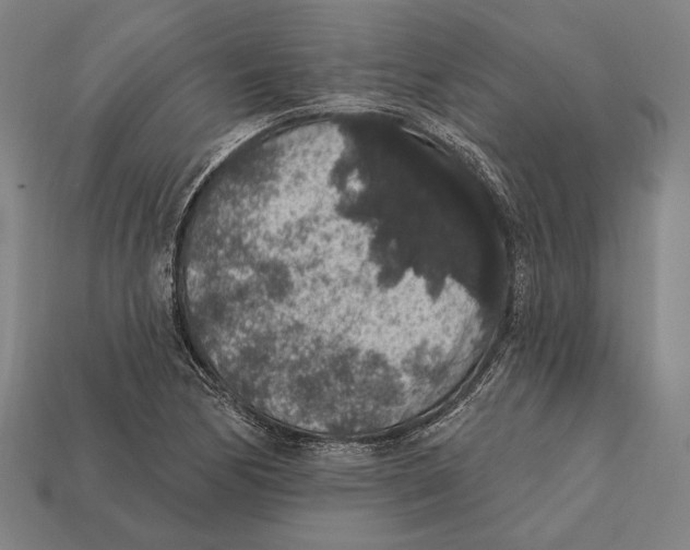 X0000112421170200909111004