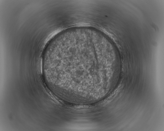 X0000112421171200909111004