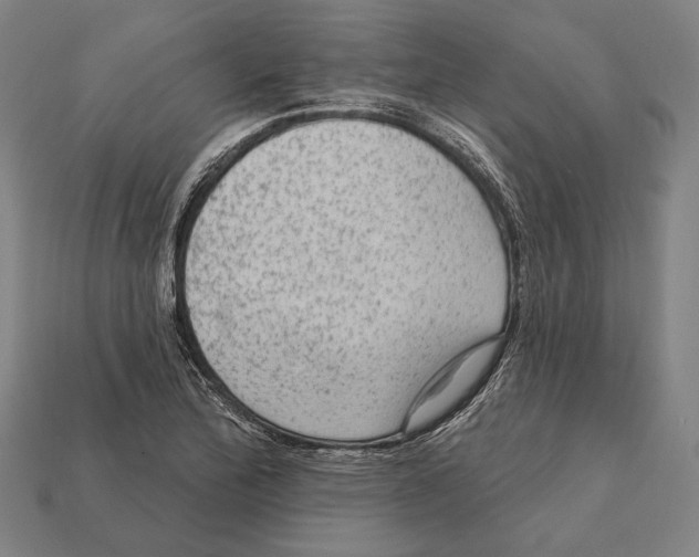 X0000112421172200909111004