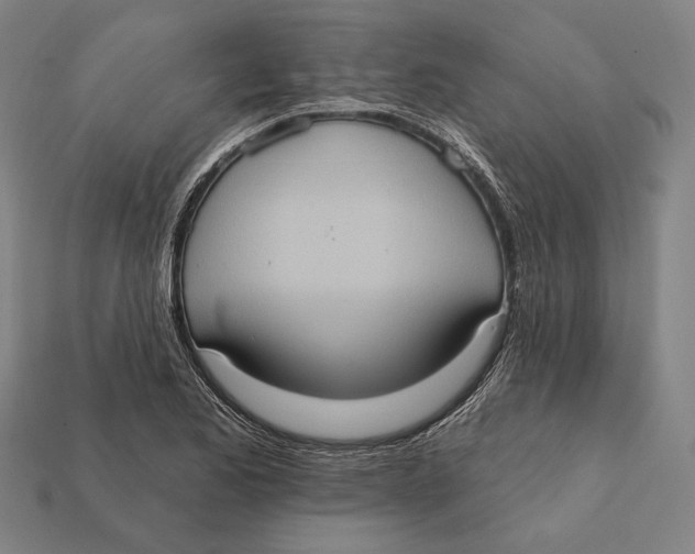 X0000112421173200909111004