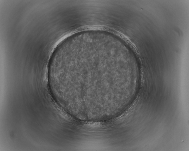 X0000112421174200909111004