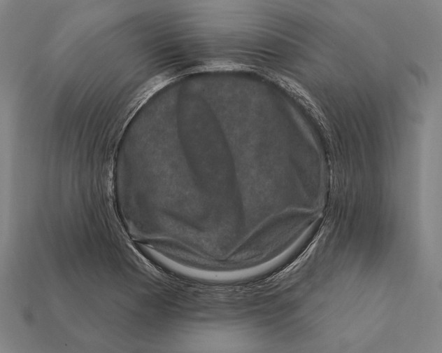 X0000112421177200909111004