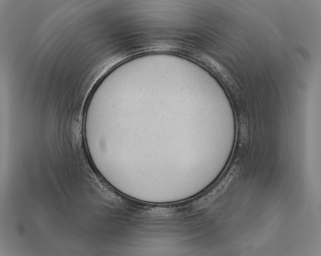 X0000112421178200909111004