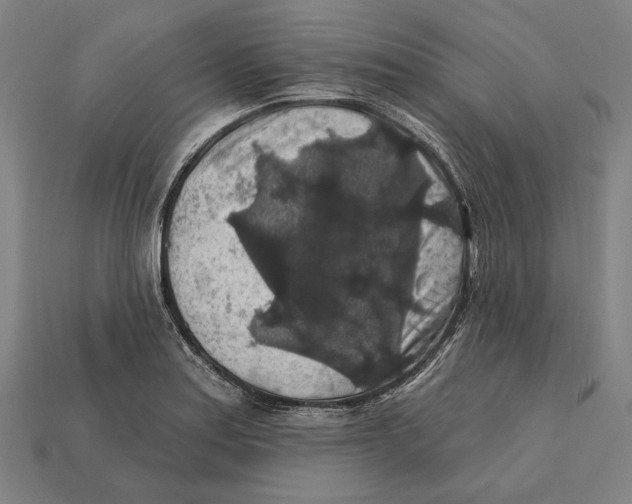 X0000112421179200909111004