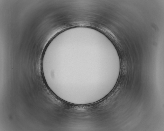 X0000112421182200909111004