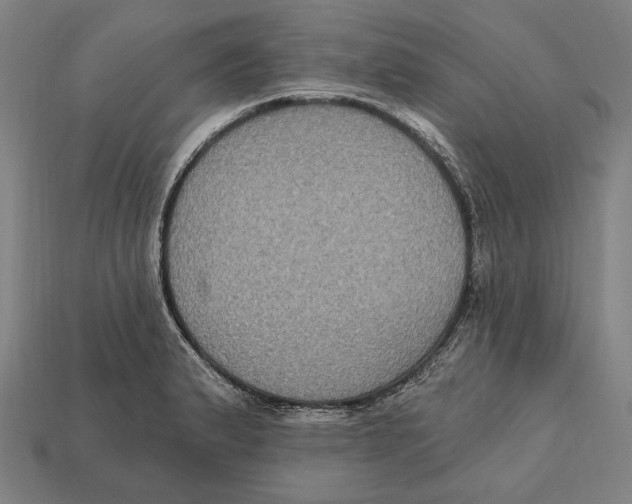 X0000112421183200909111004