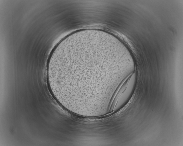 X0000112421184200909111004