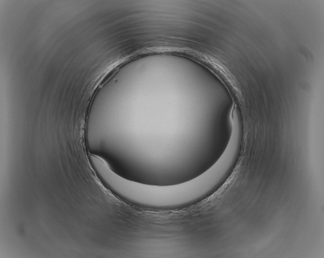 X0000112421185200909111004