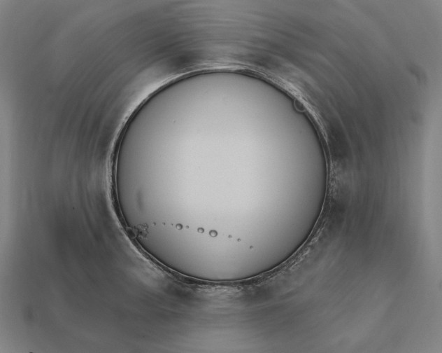 X0000112421187200909111004