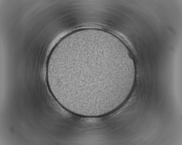 X0000112421188200909111004