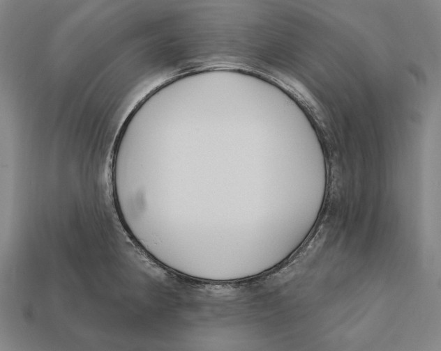 X0000112421190200909111004