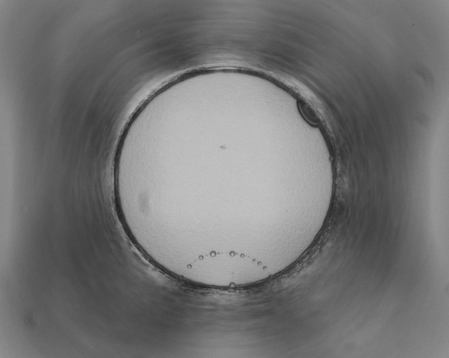 X0000112421191200909111004