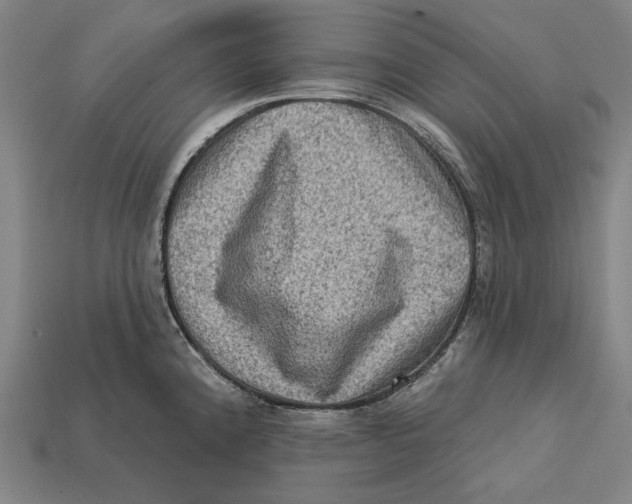 X0000112421192200909111004