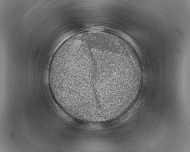 X0000112421194200909111004