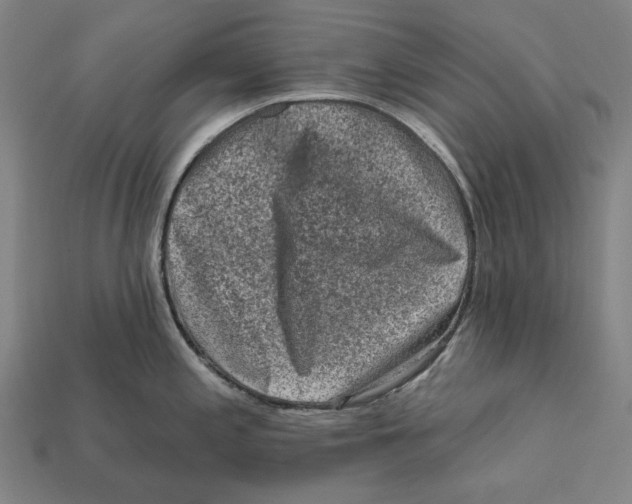 X0000112421197200909111004