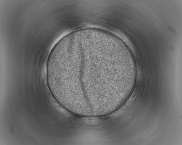 X0000112421198200909111004