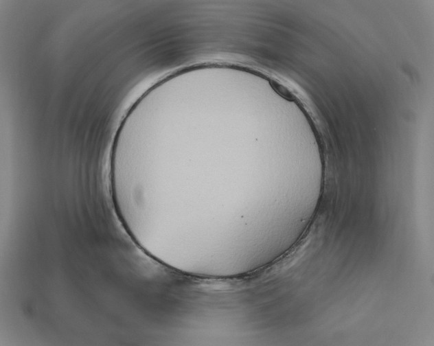 X0000112421199200909111004