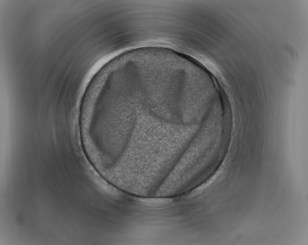 X0000112421200200909111004