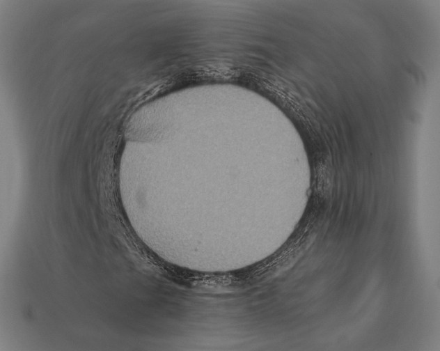 X0000112421201200909111003