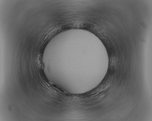 X0000112421202200909111003