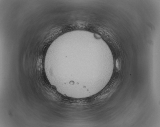 X0000112421203200909111003