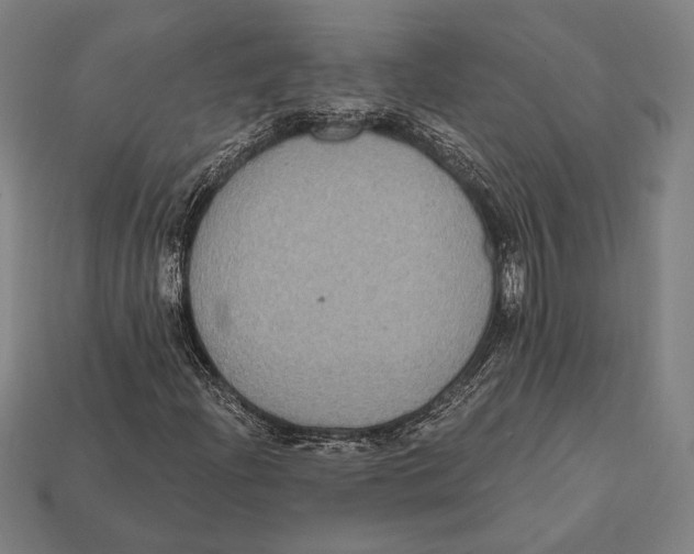 X0000112421204200909111003