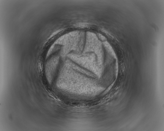 X0000112421206200909111003