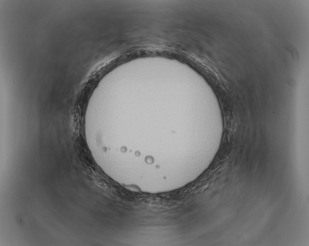 X0000112421207200909111003