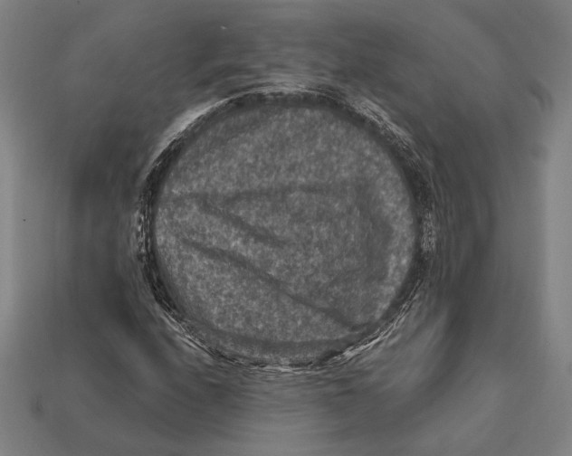 X0000112421208200909111003