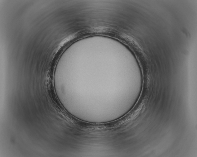 X0000112421210200909111003