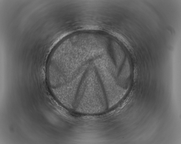 X0000112421212200909111003