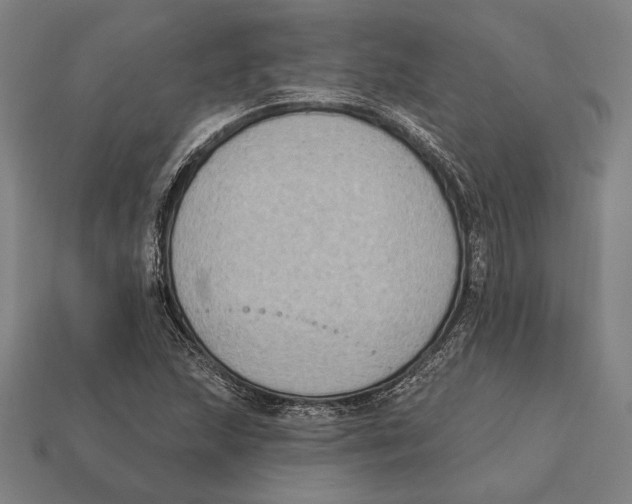 X0000112421215200909111003