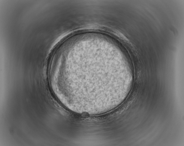 X0000112421216200909111003