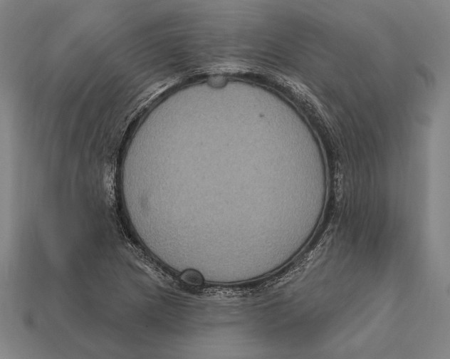 X0000112421217200909111003