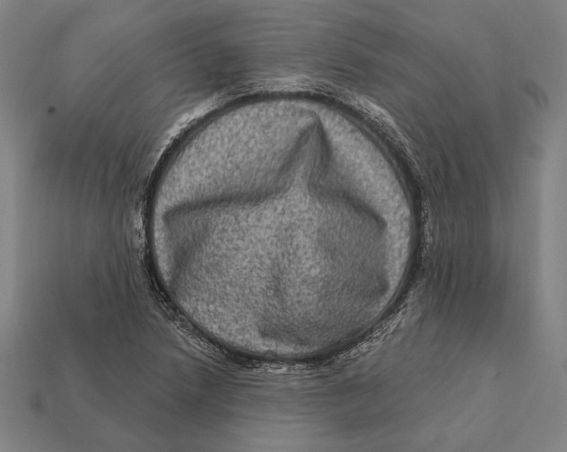 X0000112421218200909111003