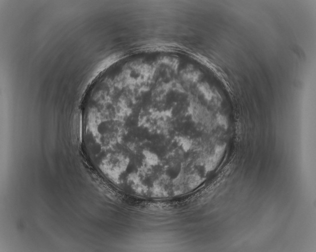 X0000112421219200909111003