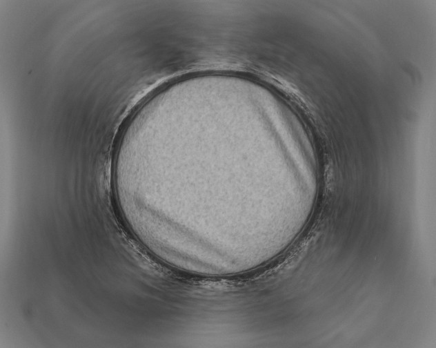 X0000112421220200909111003