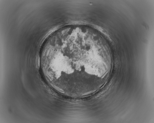 X0000112421221200909111003