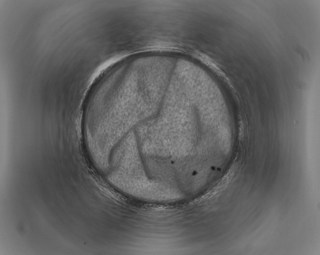 X0000112421222200909111003