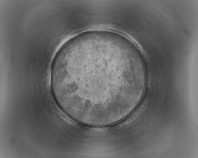 X0000112421224200909111003