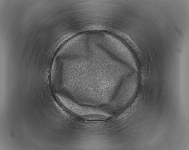 X0000112421225200909111003