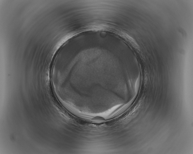 X0000112421226200909111003