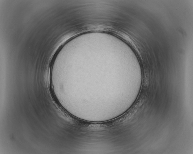 X0000112421227200909111003