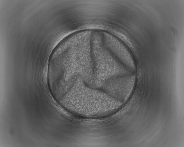 X0000112421228200909111003