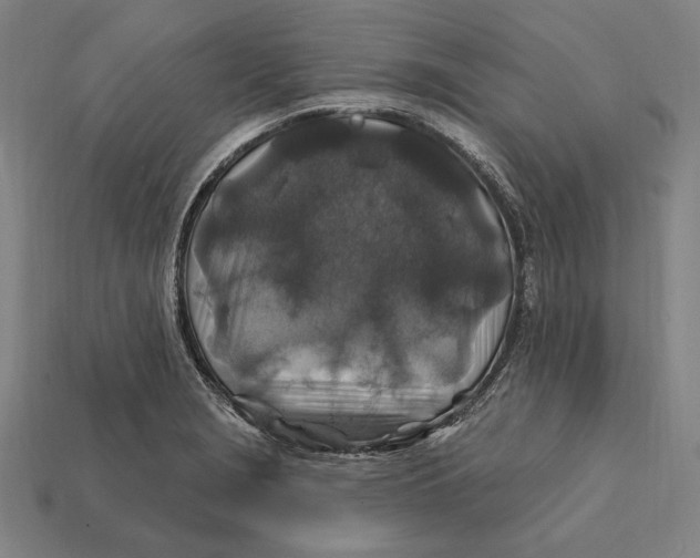 X0000112421229200909111003