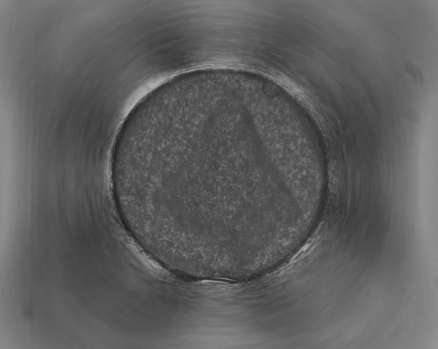 X0000112421230200909111003